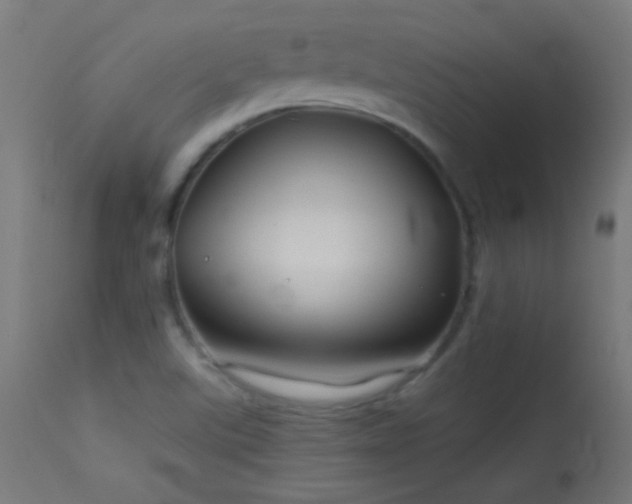 X0000114181507200910081447