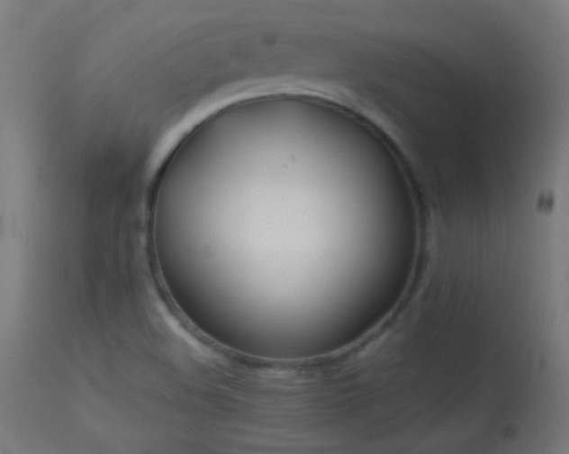 X0000114181508200910081447