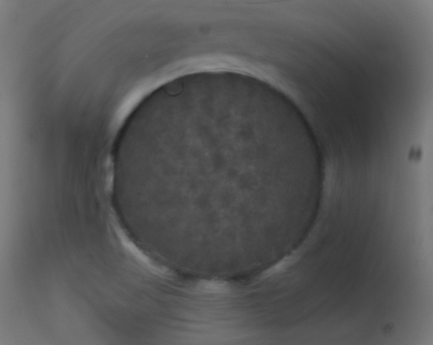 X0000114181509200910081447