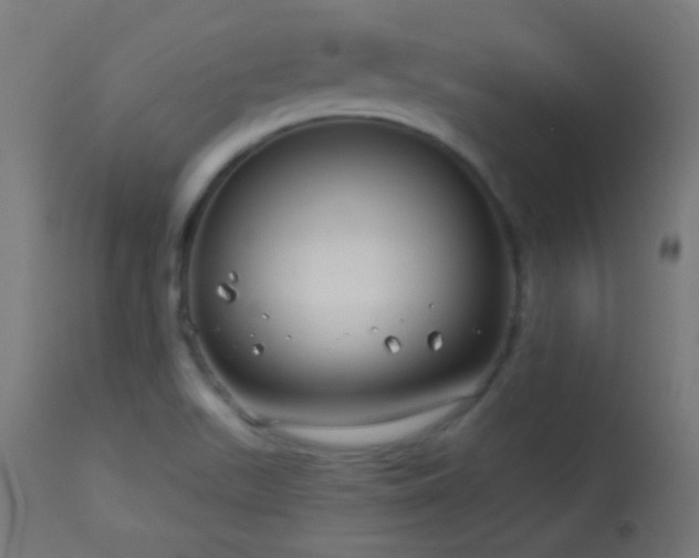 X0000114181511200910081447