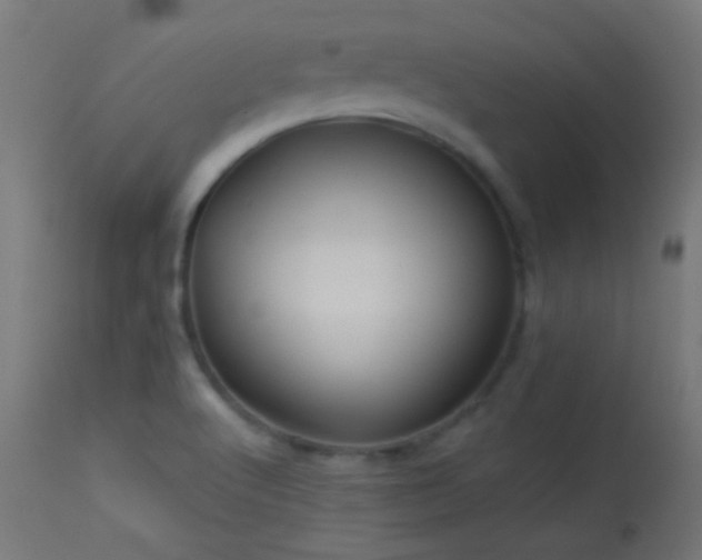 X0000114181512200910081447