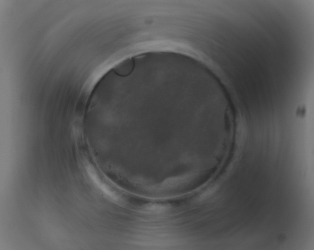 X0000114181513200910081447