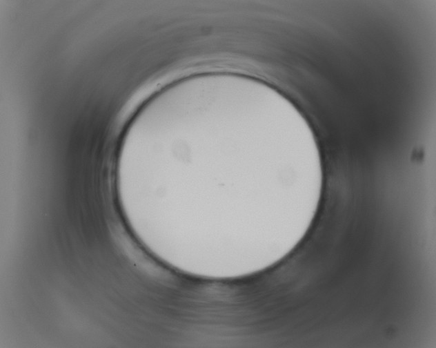 X0000114181514200910081447
