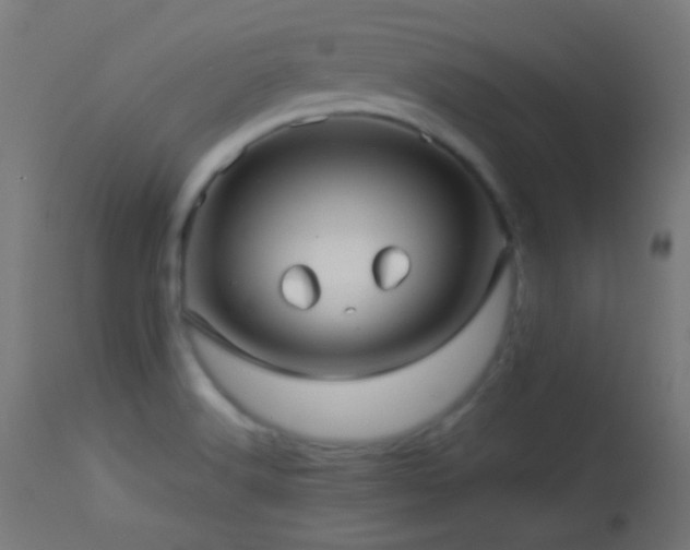 X0000114181516200910081447