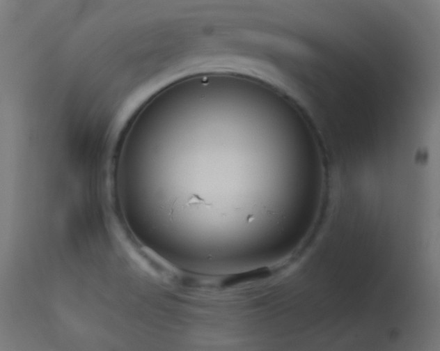 X0000114181517200910081447