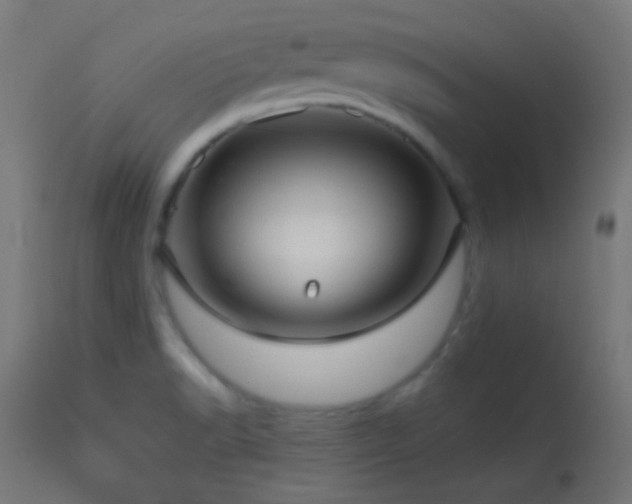 X0000114181518200910081447