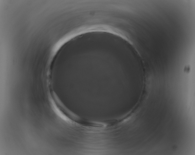 X0000114181519200910081447