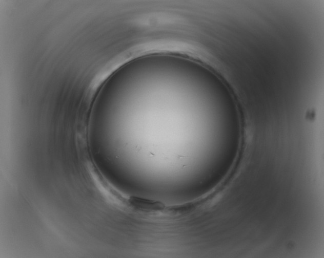 X0000114181521200910081447