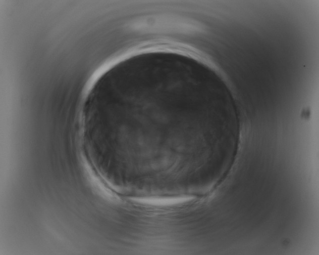 X0000114181522200910081447