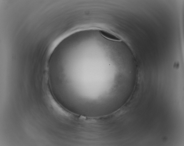 X0000114181524200910081447