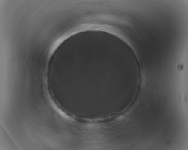X0000114181525200910081447