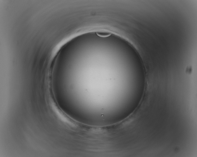 X0000114181526200910081447