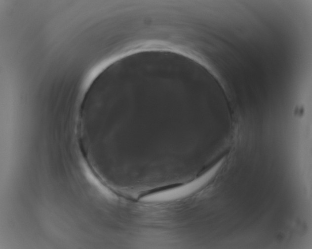 X0000114181527200910081447