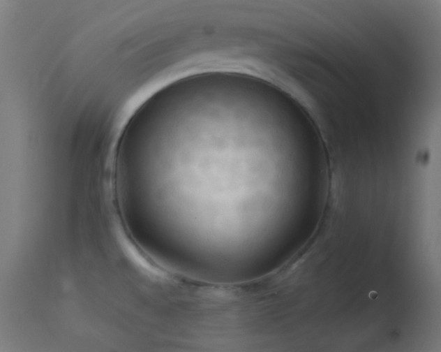 X0000114181528200910081447