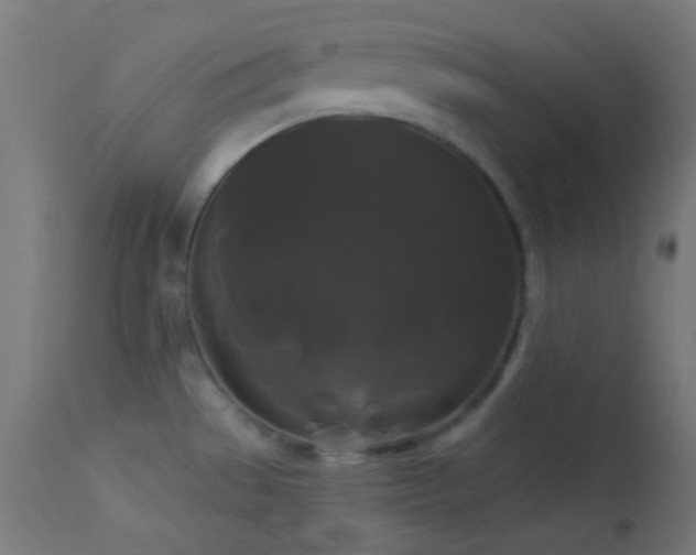 X0000114181529200910081447