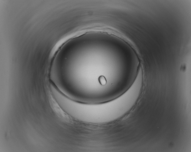 X0000114181530200910081447