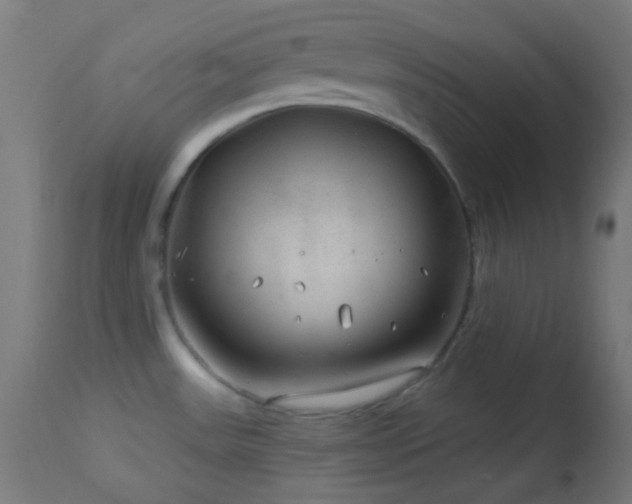 X0000114181531200910081447