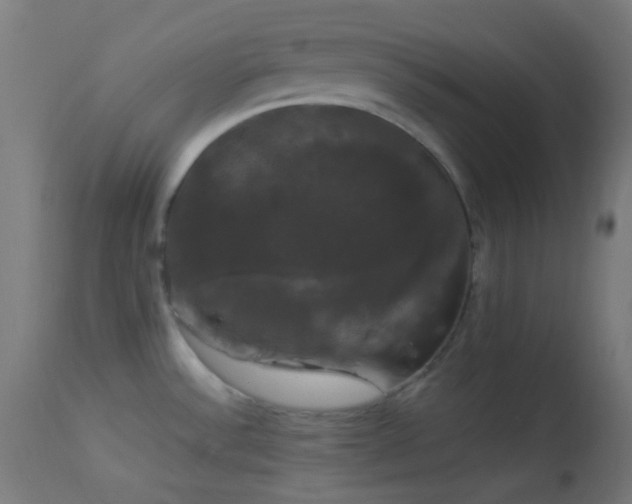 X0000114181532200910081447