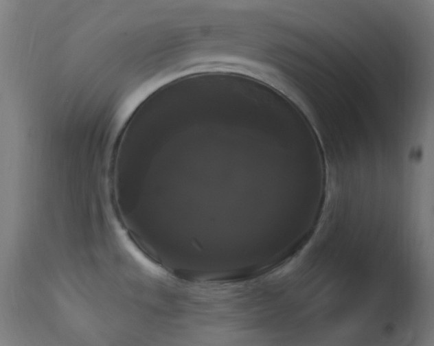 X0000114181533200910081447