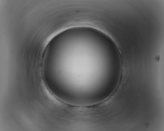 X0000114181534200910081447
