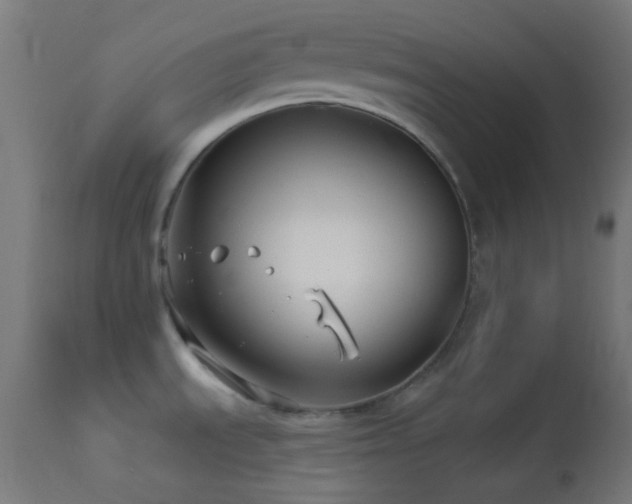 X0000114181535200910081447