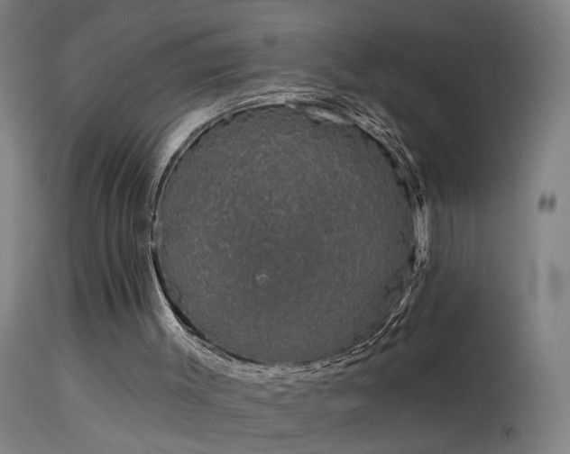 X0000114180003200910151712