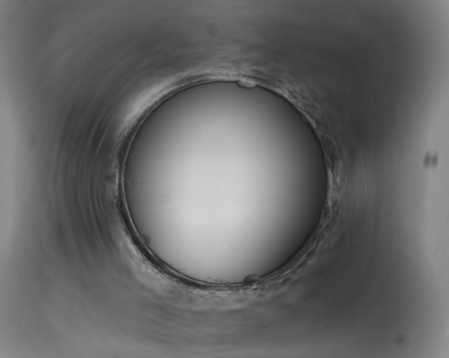 X0000114180005200910151712