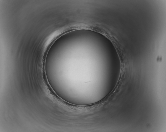 X0000114180006200910151712