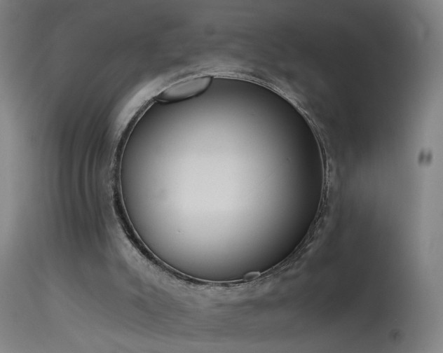 X0000114180007200910151712