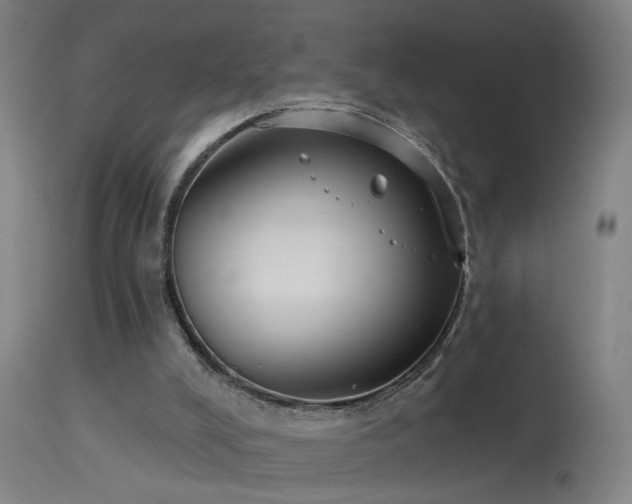 X0000114180008200910151712