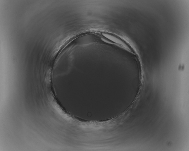 X0000114180009200910151712