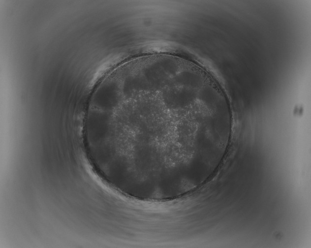 X0000114180010200910151711