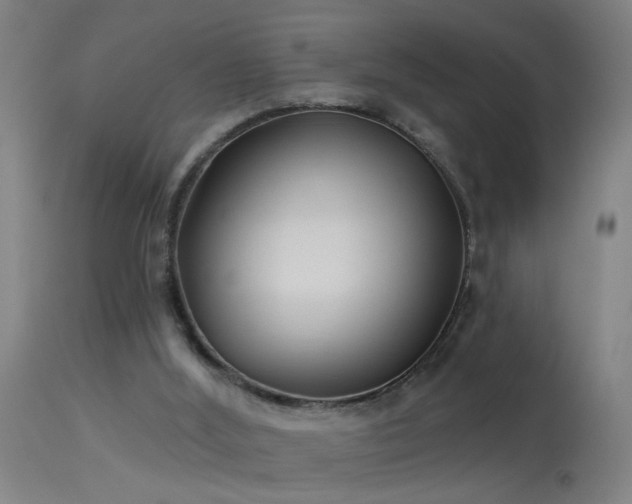 X0000114180012200910151711