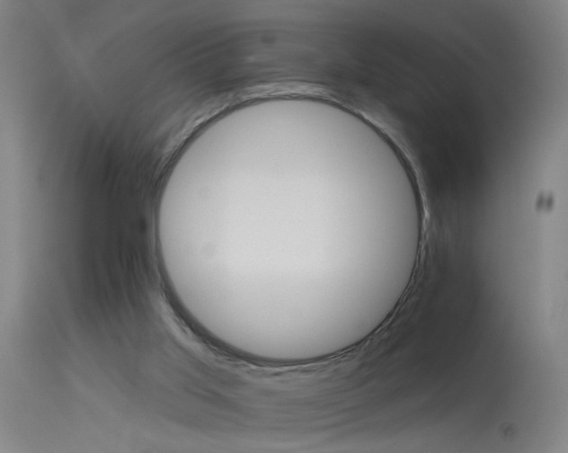 X0000114180013200910151711