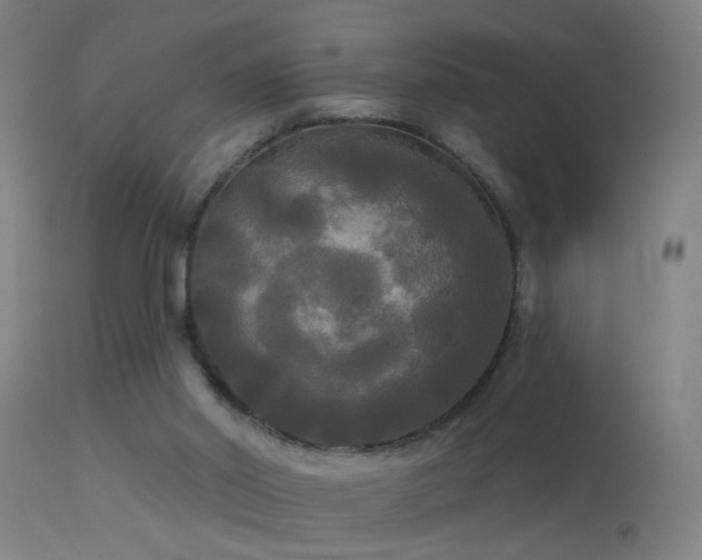 X0000114180014200910151711