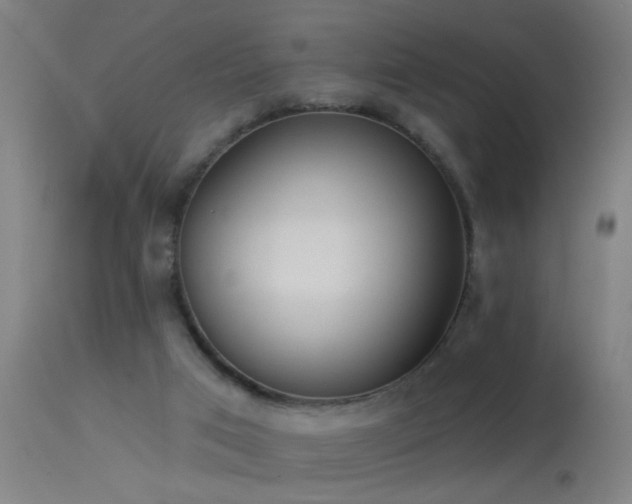 X0000114180017200910151711