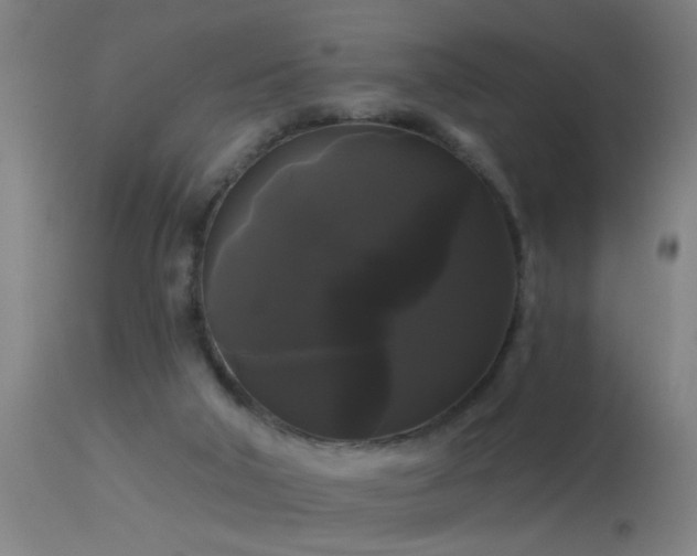 X0000114180018200910151711