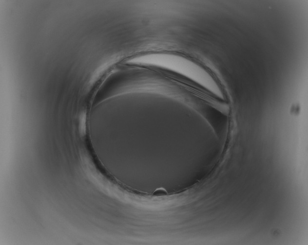 X0000114180019200910151711