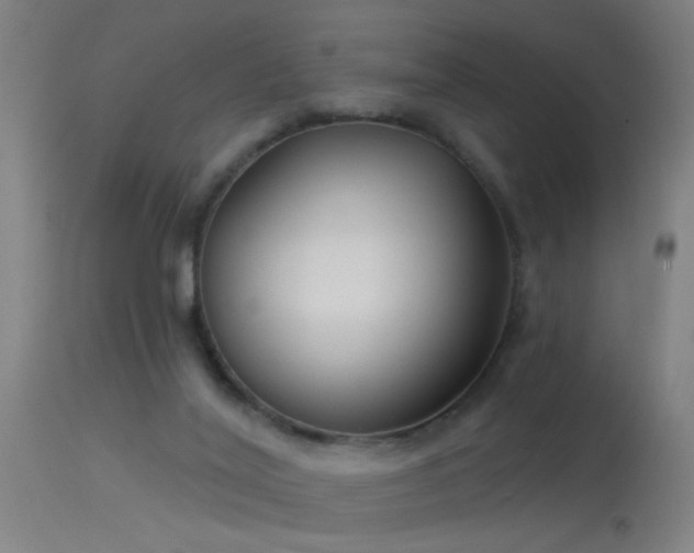 X0000114180020200910151711