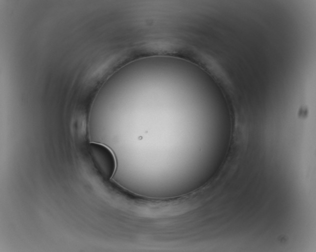 X0000114180021200910151711