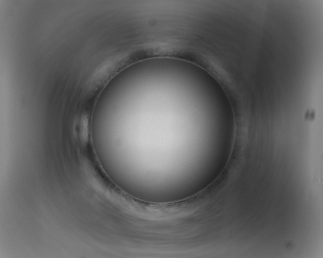 X0000114180022200910151711