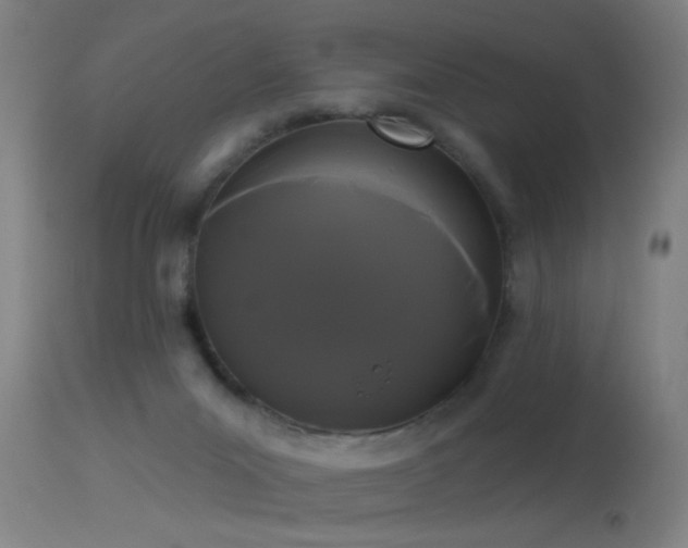 X0000114180023200910151711