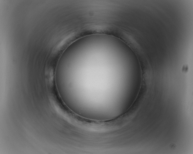 X0000114180024200910151711