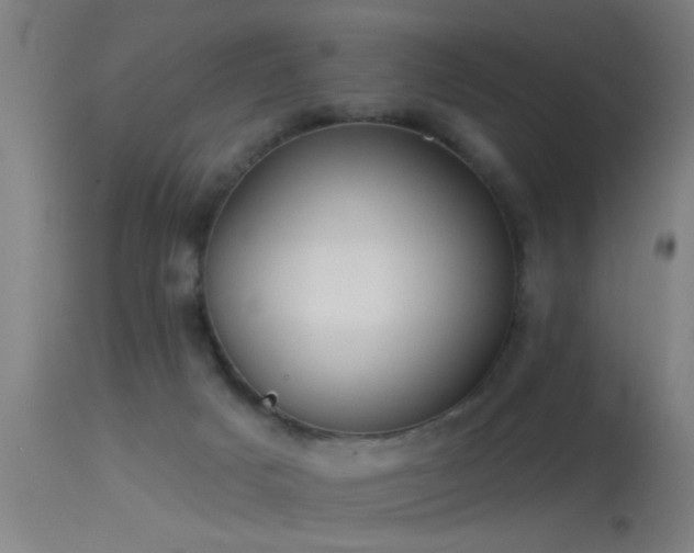 X0000114180025200910151711