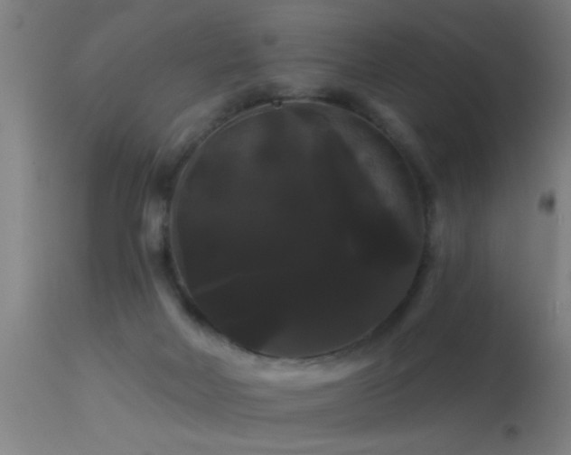 X0000114180026200910151711