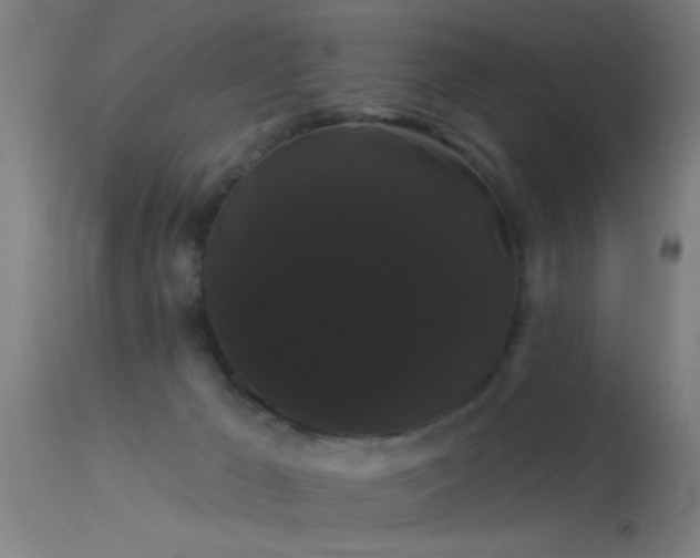 X0000114180029200910151711