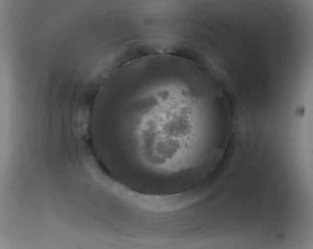 X0000114180030200910151711