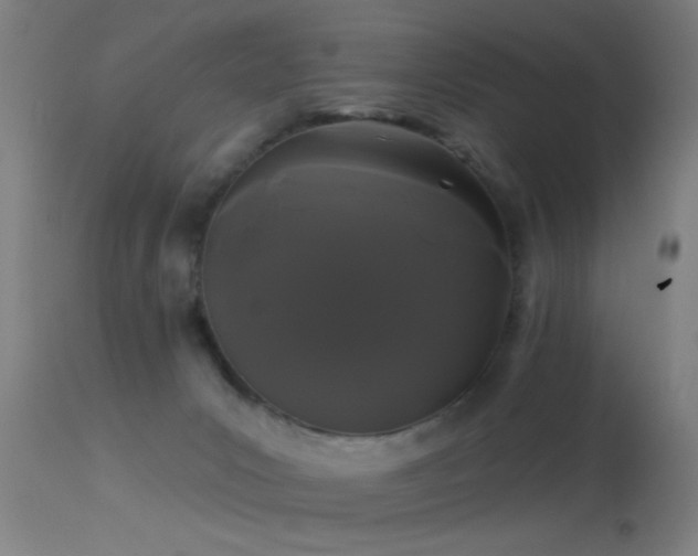 X0000114180031200910151711