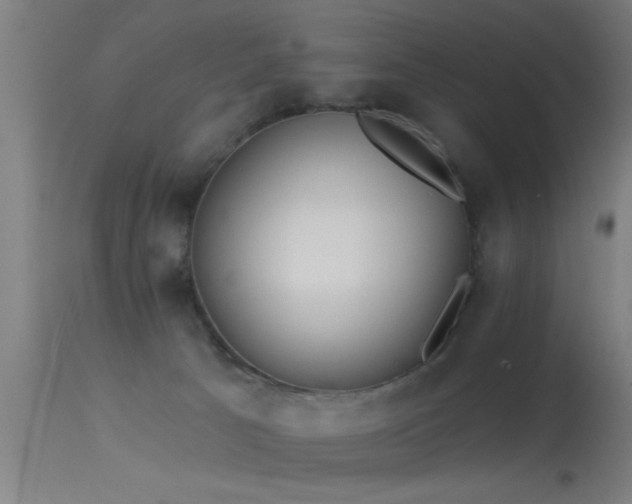 X0000114180033200910151711