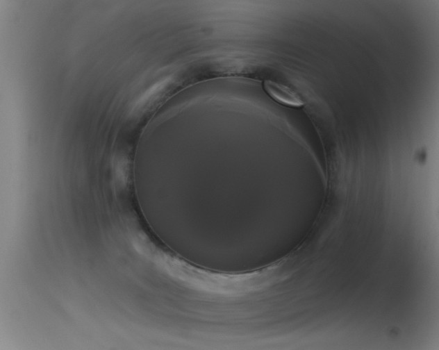 X0000114180035200910151711